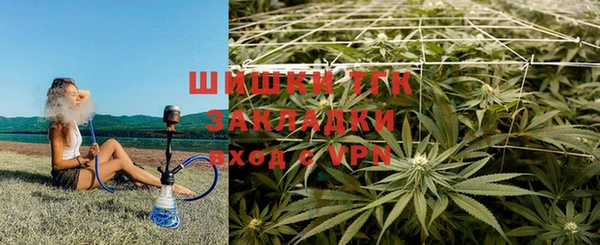 дживик Абинск