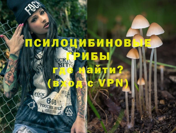 а пвп мука Алексин