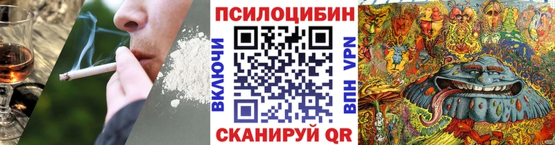 Псилоцибиновые грибы Cubensis  Беломорск 